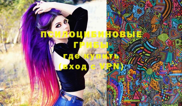 мескалин Дмитриев