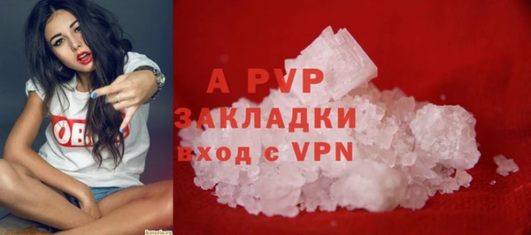 молекула духа Елизово