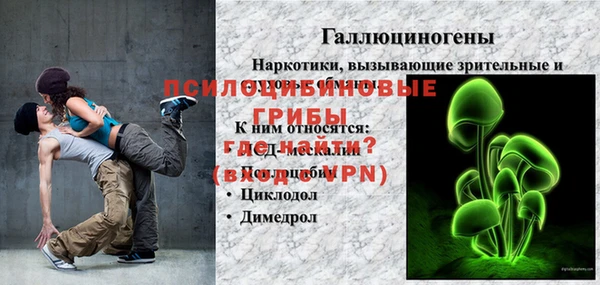бошки Дмитров