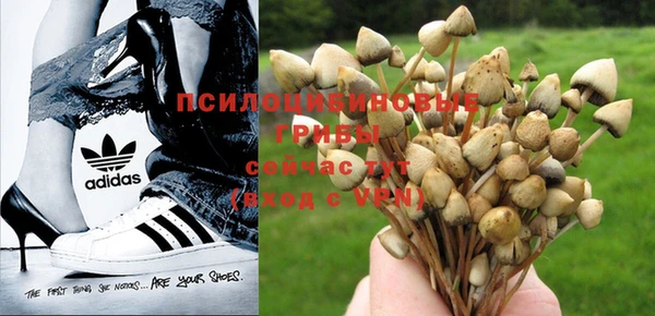 spice Елабуга