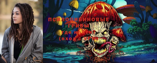 бошки Дмитров