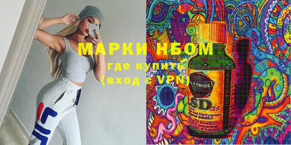 молекула духа Елизово