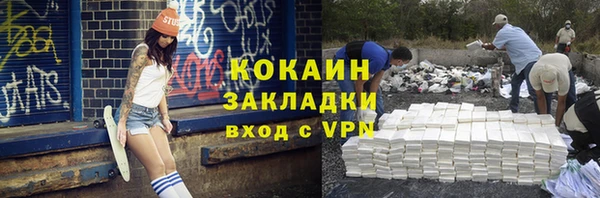 молекула духа Елизово