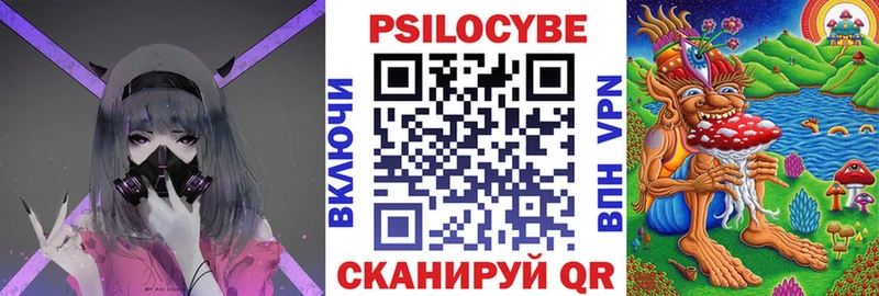 Псилоцибиновые грибы Psilocybe Теберда